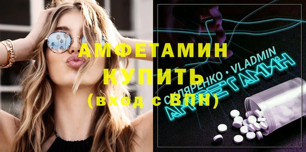 шишки Ветлуга