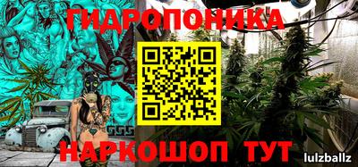 прущие крисы Ипатово