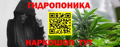 прущие крисы Ипатово