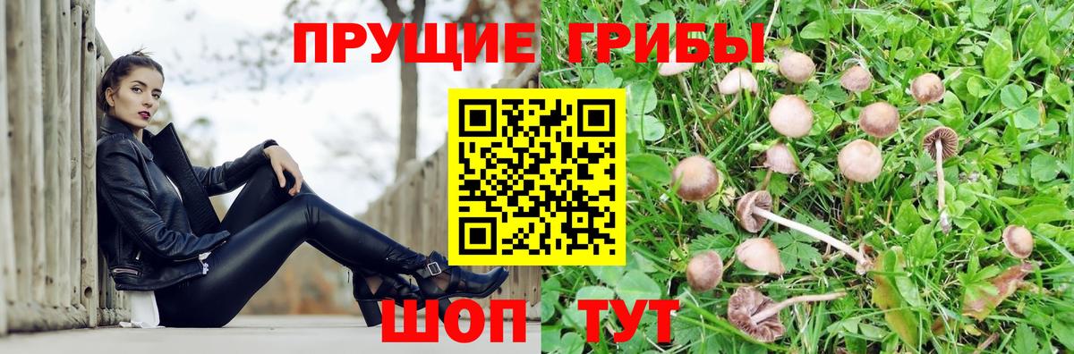 Псилоцибиновые грибы мухоморы  Псилоцибиновые грибы ЛСД  Вход с VPN  Крымск 